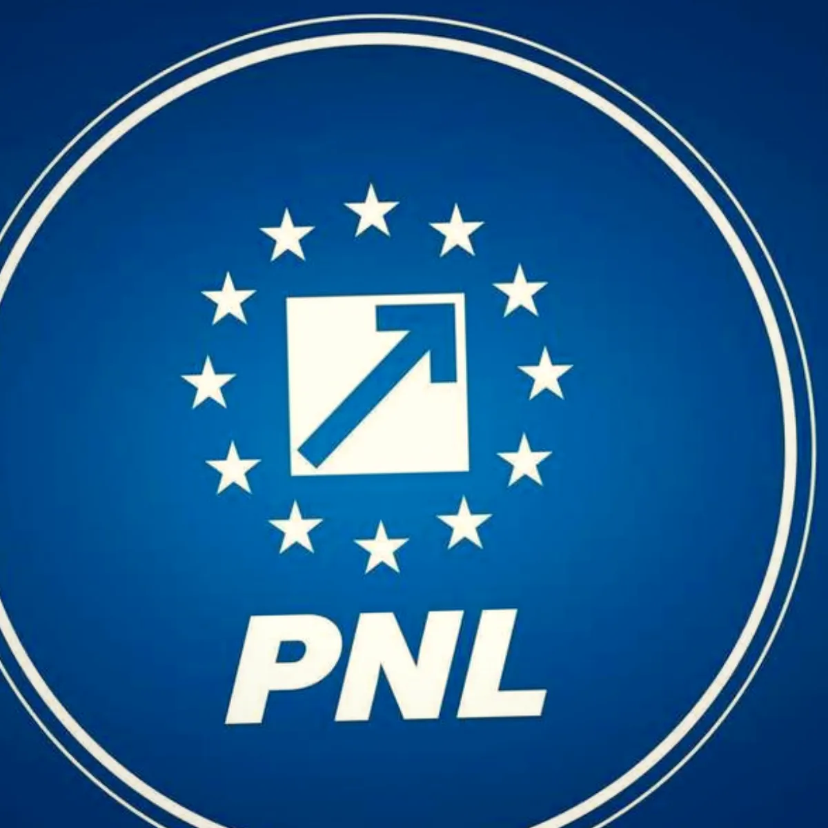 PNL avertizează că întârzierea rectificării poate bloca instituții esențiale